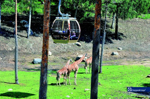 zoo_001.jpg
