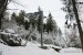moninec_005.jpg